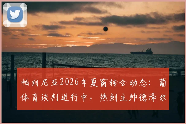 帕利尼亚2026年夏窗转会动态：葡体育谈判进行中，热刺主帅德泽尔比直言希望其留队